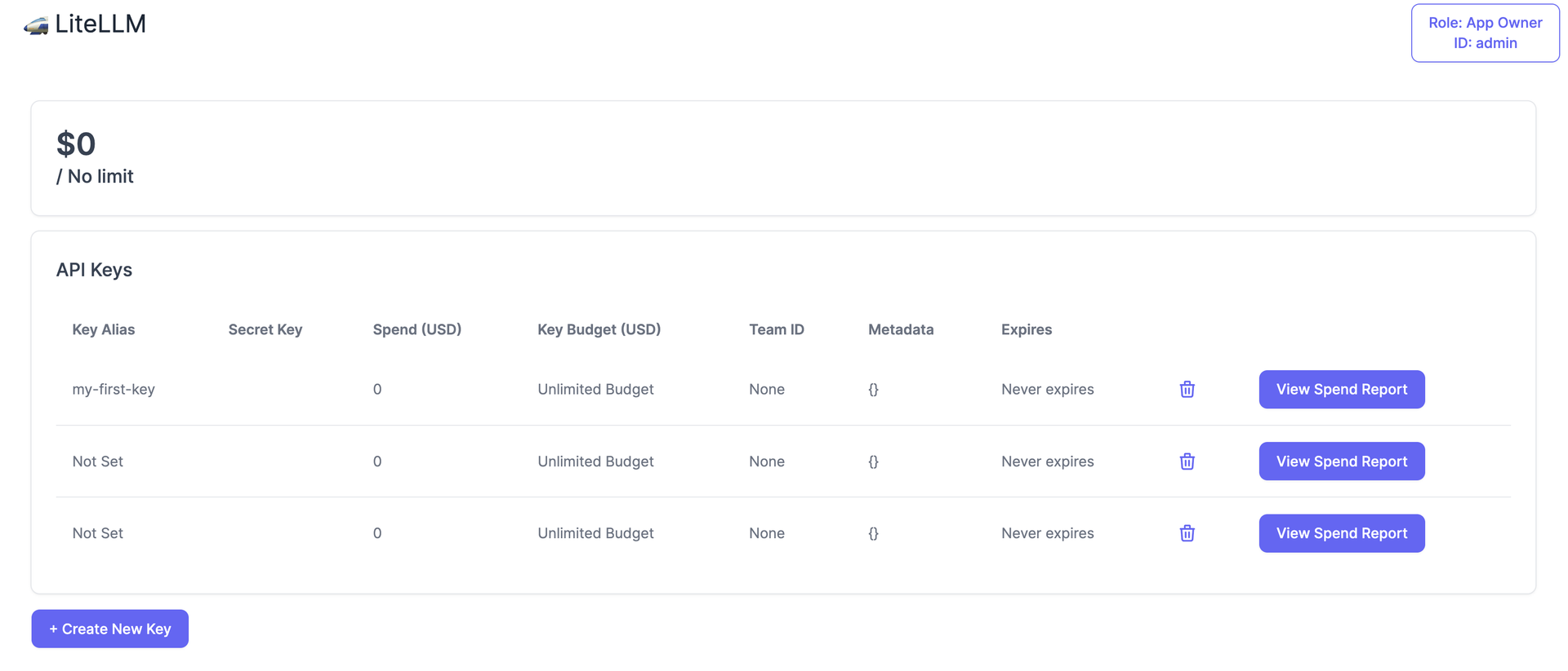 LiteLLM proxy UI showing virtual key creation and model management