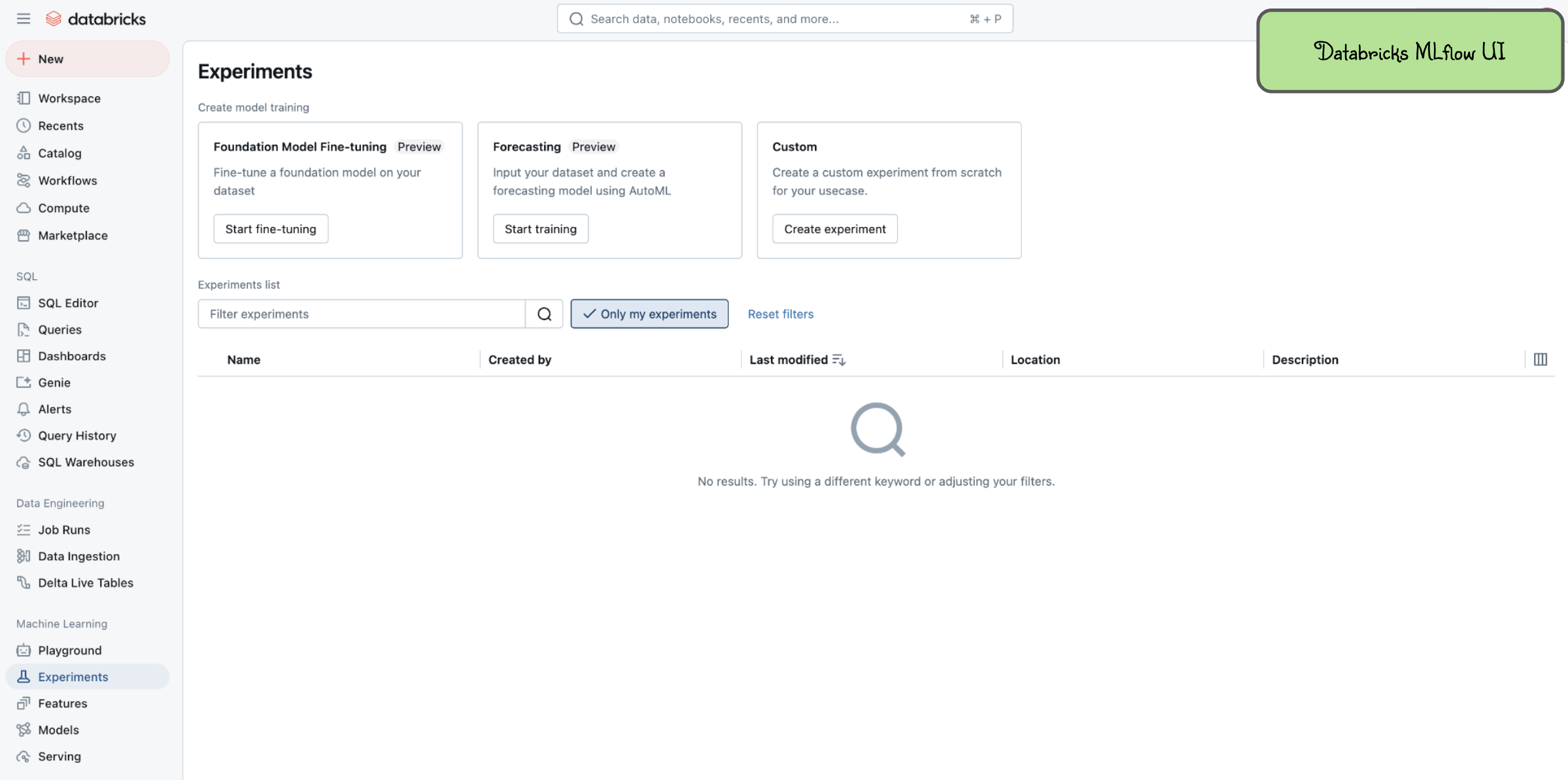 Databricks Trial MLflow UI