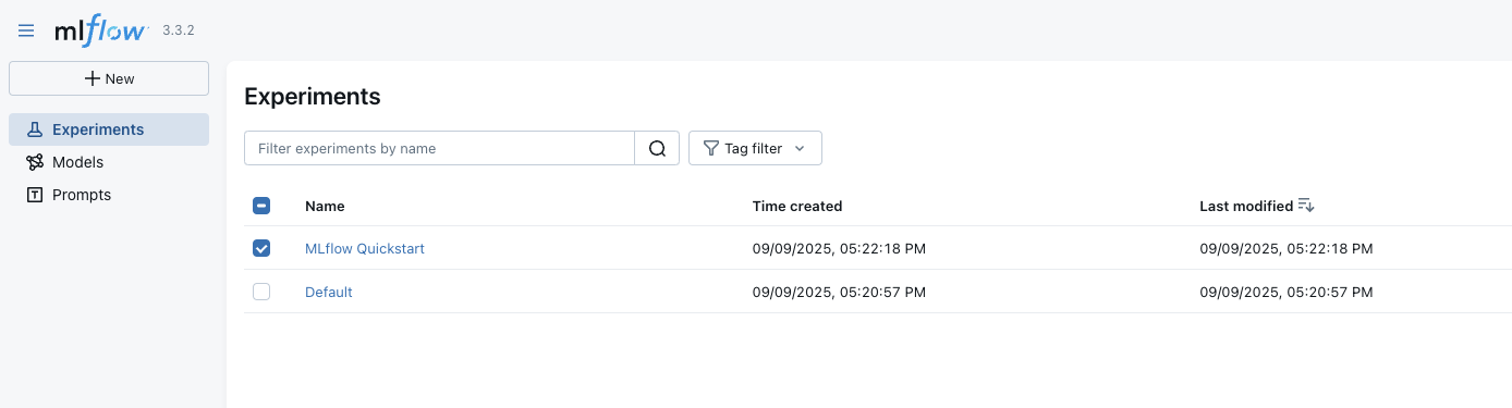 MLflow UI Experiment view page